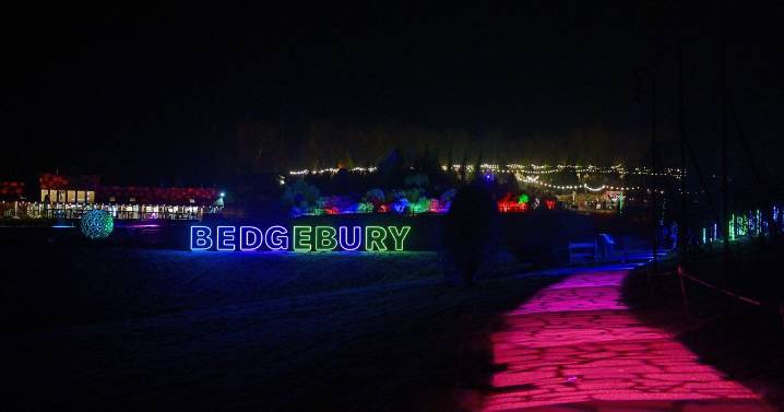 In photos: See Bedgebury’s stunning Christmas light trails for 2025