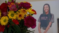 'My world is not the same:' Knoxville mother loses 19