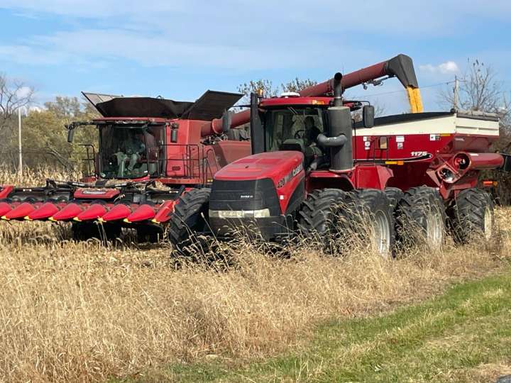Snapshot: Harvest time in Marbletown