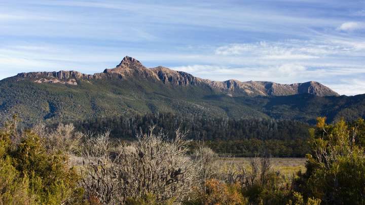 Tasmania rescuers save hikers stranded on Mount Anne after initially being forced back by fierce winds, driving snow