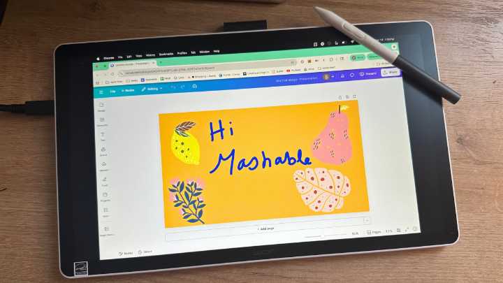 Im no professional artist, but the Wacom One 14 makes me feel like one