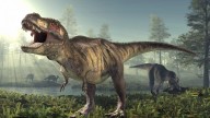 Científicos analizan los restos de un vómito fosilizado y acaban descubriendo una nueva especie de dinosaurio