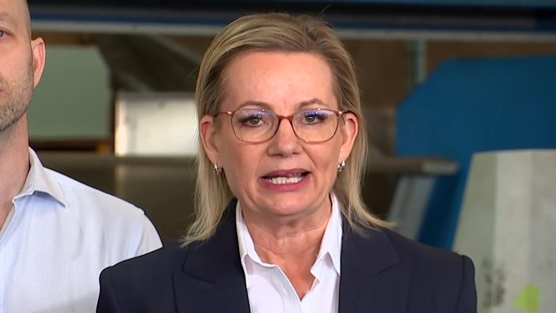 Opposition leader pushes to sell net