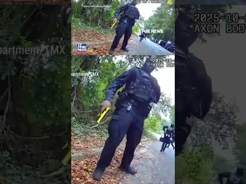 WATCH: Suspect RAMS patrol car, arrested after FAILED ESCAPE #foxnews #news #us #fox