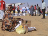 War in Sudan: Humanitarian, fighting, control developments, November 2025