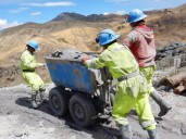 Futuro del Reinfo en manos del pleno del Congreso antes del 31 de diciembre