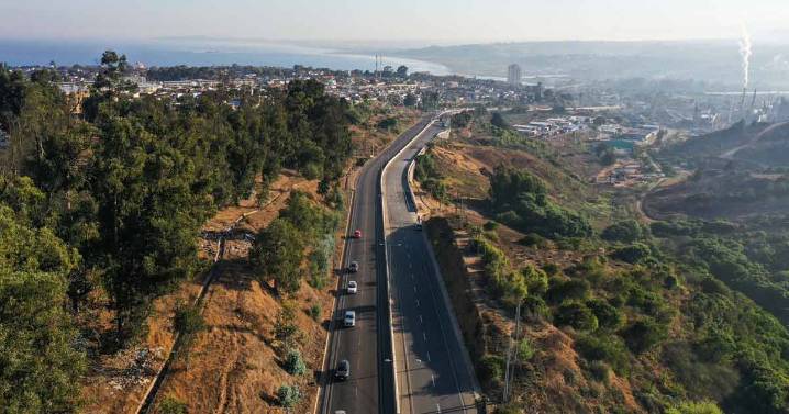 Incendio forestal moviliza a Bomberos de Viña del Mar en acceso al Cementerio Parroquial de Concón