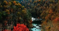 Best spots to enjoy fall foliage a short drive from Birmingham