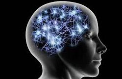 Los datos del cerebro se convierten en el nuevo tesoro del siglo XXI