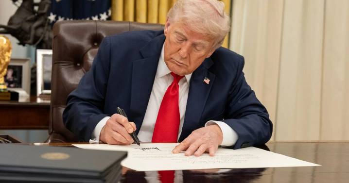 Trump pledge to ‘immediately’ end protections for Minnesota Somalis sparks fear and legal questions