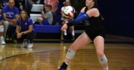 Blue Devils fall in three sets to Edwardsville in regional final