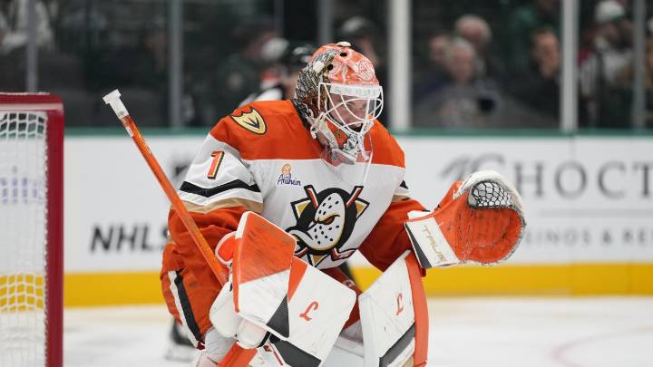 Ducks’ Lukas Dostal day-to-day with upper