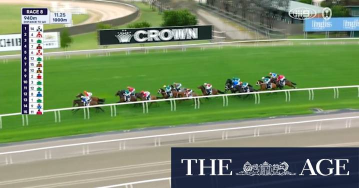 Lexus Melbourne Cup Day: Race 8 - Lexus Amanda Elliot