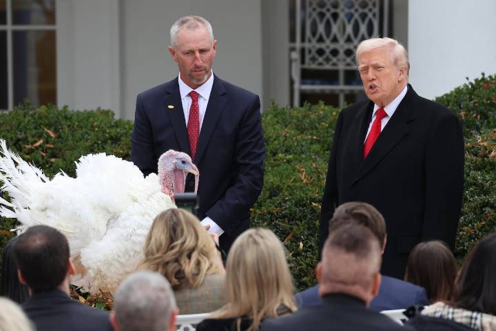 Trump indulta a dos pavos por Acción de gracias ¿De dónde viene esta tradición?