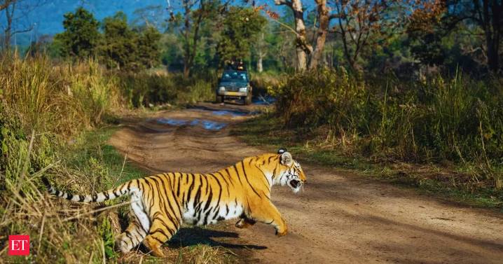 SC tells Uttarakhand to restore Corbett park