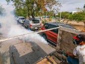 Disminuye en 85% los casos de dengue con respecto a 2024
