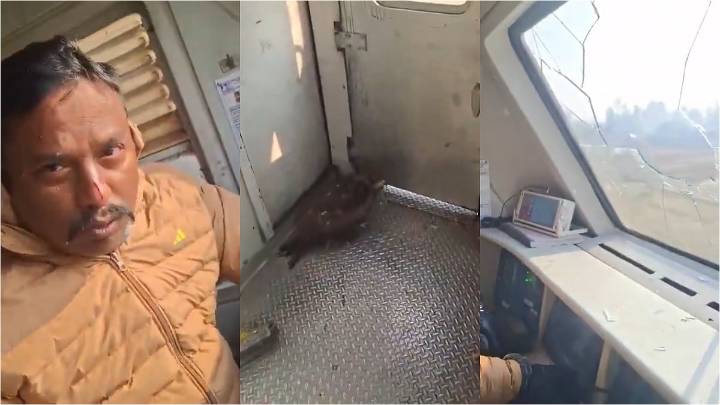 Viral VIDEO: Eagle Crashes Into Windscreen Of Speeding Train In J&K's Anantnag; Loco Pilot Injured