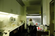 Kennedy family member reveals devastating terminal cancer diagnosis