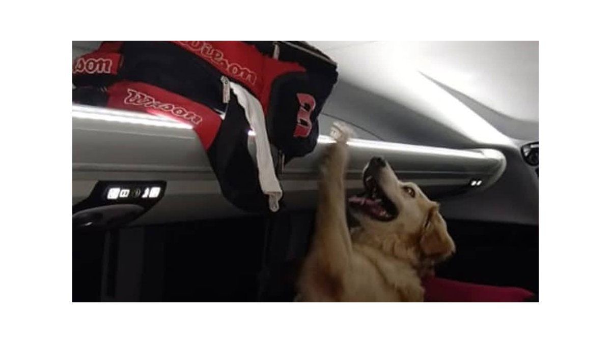 Efectivos policiales secuestraron cocaína y más de 1 kilo de cogollos de marihuana