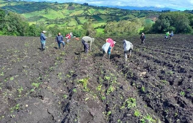 Gobierno anuncia nuevo plan de inversión para fortalecer la infraestructura pública