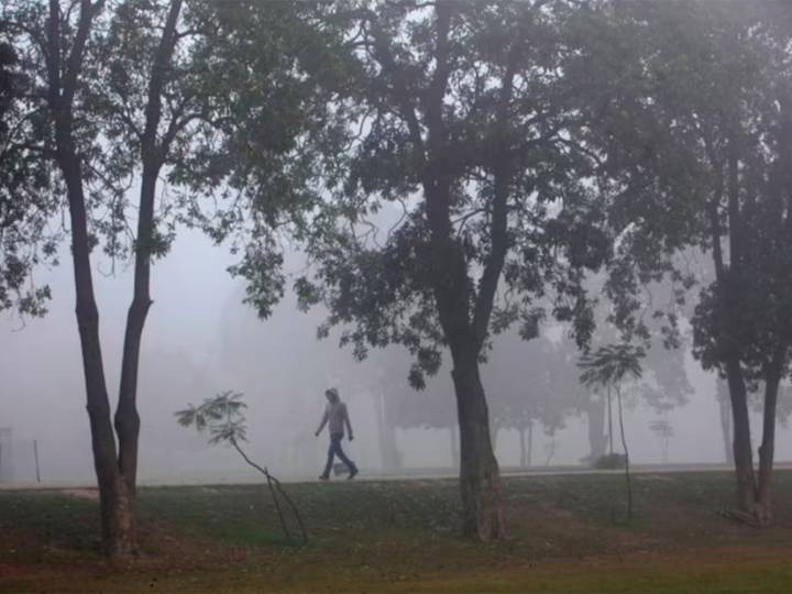 Pak: Punjab smog crisis deepens as Bahawalpur records 469 AQI