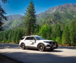 Three injured in alleged hit-and