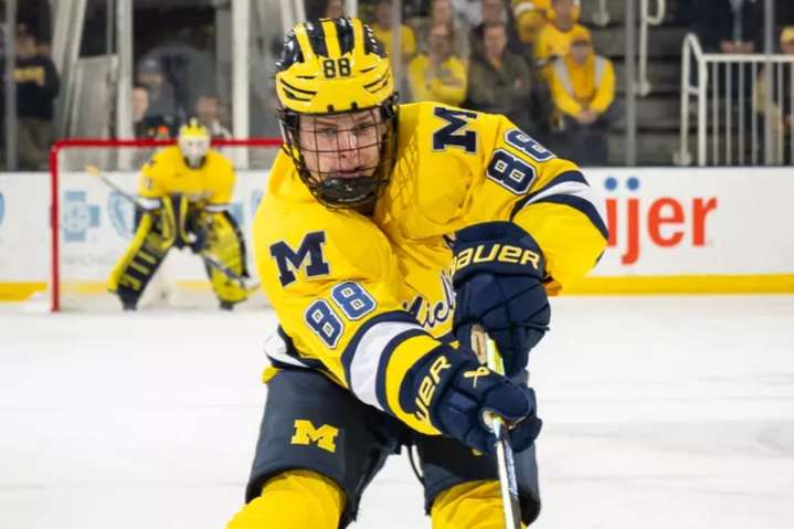 Calgary Flames' top blueline prospect suffers season