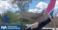 Se estrelló una narcoavioneta en Salta: trasladaba 140 kilos de cocaína