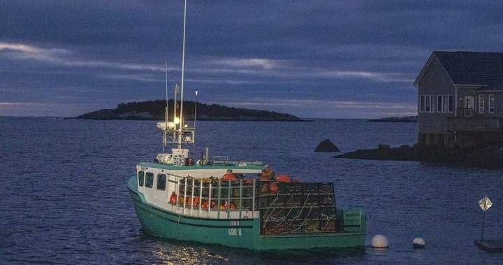 Nova Scotia to create enforcement unit to fight illegal seafood buying, processing