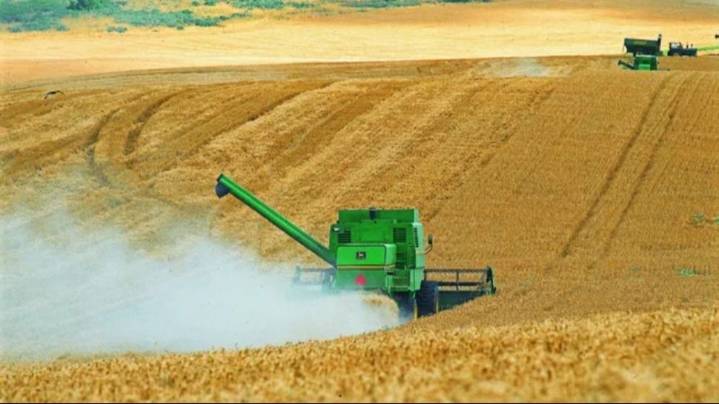 Septiembre dejó el mejor desempeño exportador para el agro en cuatro años