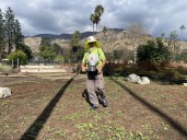 Column: The Great Altadena Poppy Project launches this weekend, for free