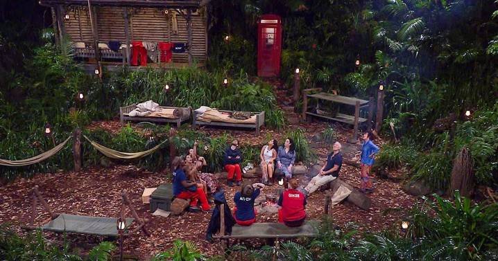 I'm A Celebrity fans say stars should 'go home' as 'final 3' already decided