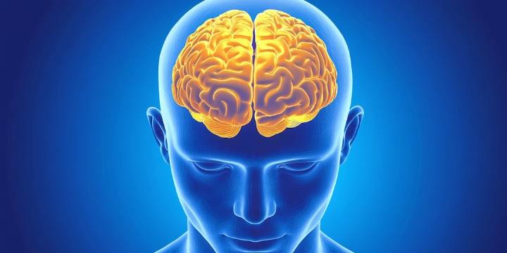 Detox de dopamina: por qué evitar placeres inmediatos no “reinicia” el cerebro, según la ciencia