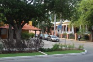 Empresarios urgen cambios viales en Paseo de Montejo en Mérida para proteger la actividad comercial