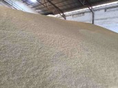 La cosecha de cereal de Castilla-La Mancha aumenta un 22 %