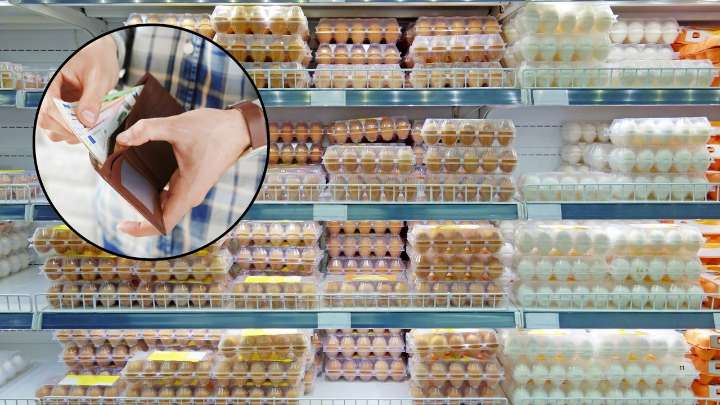 Las consecuencias del confinamiento de gallinas por gripe aviar en España: cuánto subirán los precios de los huevos y el pollo