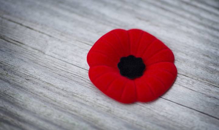 Calgary’s poppy campaign: Where your donation goes