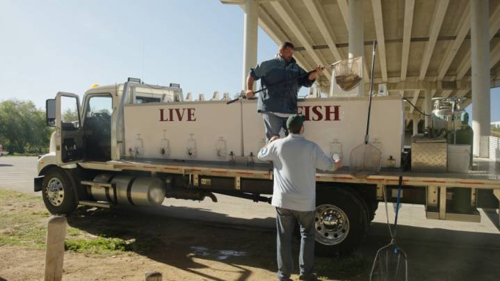 Nearly 2,000 more grass carp released in Lake Austin to combat hydrilla