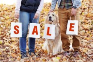 Save Big on Early Black Friday Deals for Dogs