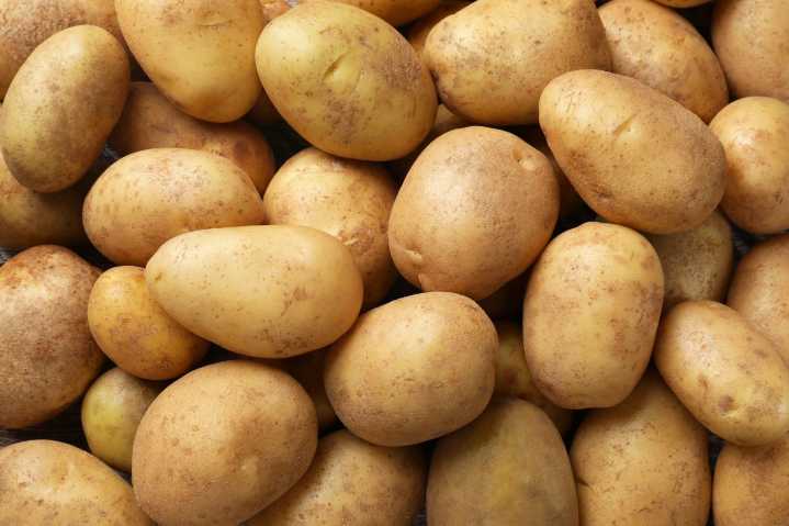 A new kind of potato variety has just launched across Canada