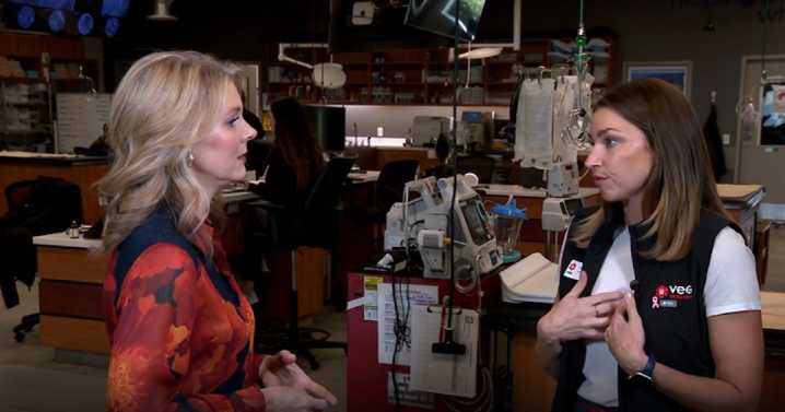 Keeping pets safe, healthy among holiday gatherings and special events