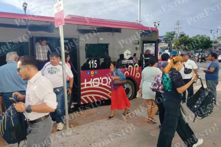 Camiones Ko´ox inician rutas en Campeche sin trasbordos: Aquí los detalles