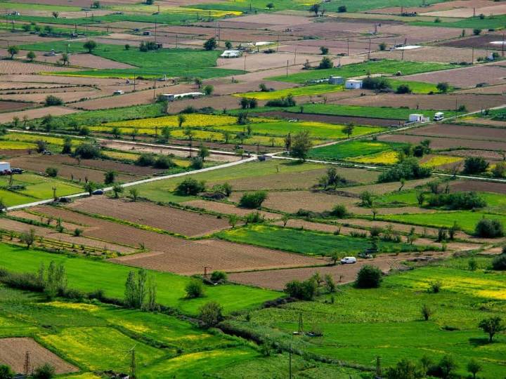 Open residential plots in Hyderabad to be auctioned online on Nov 17, 18