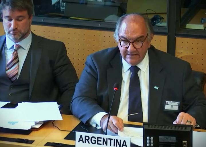 Funcionario de Milei negó en la ONU a los 30.000 desaparecidos y calificó las políticas de DDHH como un "negocio"