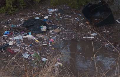 When it pours, it pollutes: Heavy rainfall fuels flood risk and debris in Sacramento creeks