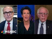 Maddow: Democrats snatch defeat from the jaws of victory (again)