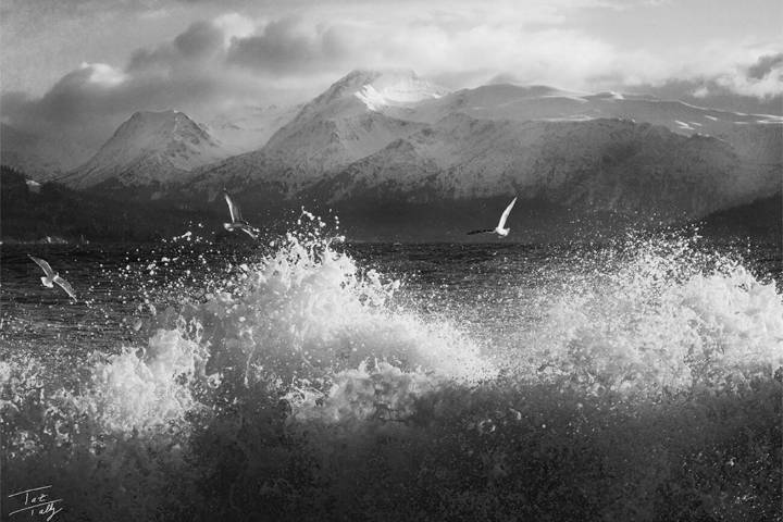 Deliberate compositions