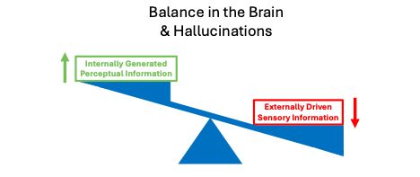 Hallucinations Happen When the Brain Fills in the Blanks