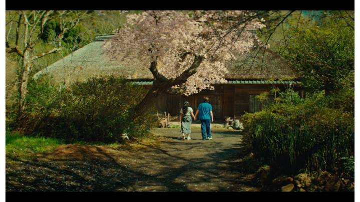 Cinefrance on Bridging France and Japan, From Orelsan to Hamaguchi