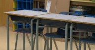 Alberta government announces new classroom size and complexity committee
